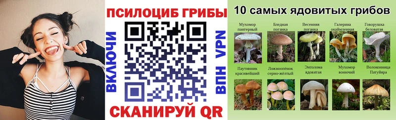 продажа наркотиков  Суровикино  Псилоцибиновые грибы мухоморы 